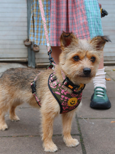 Walkies Dog Harness