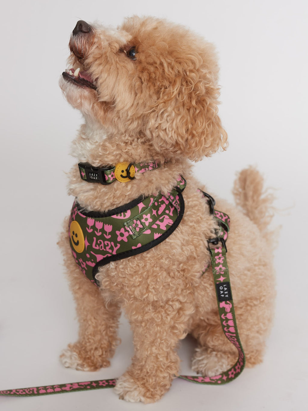 Walkies Dog Harness