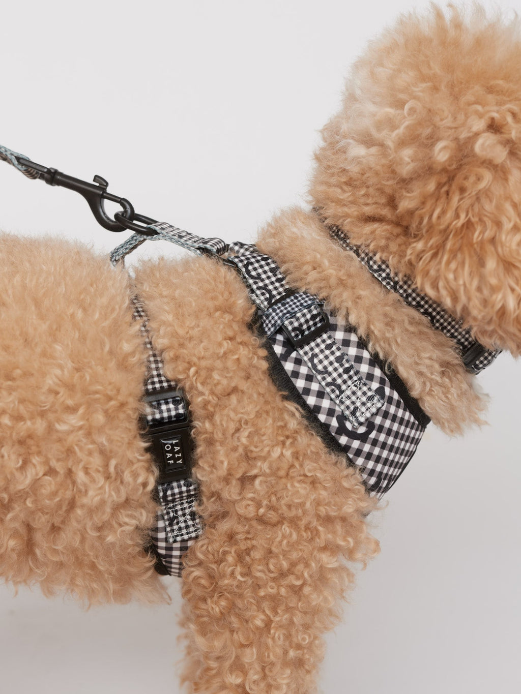 Happy Sad Gingham Dog Harness