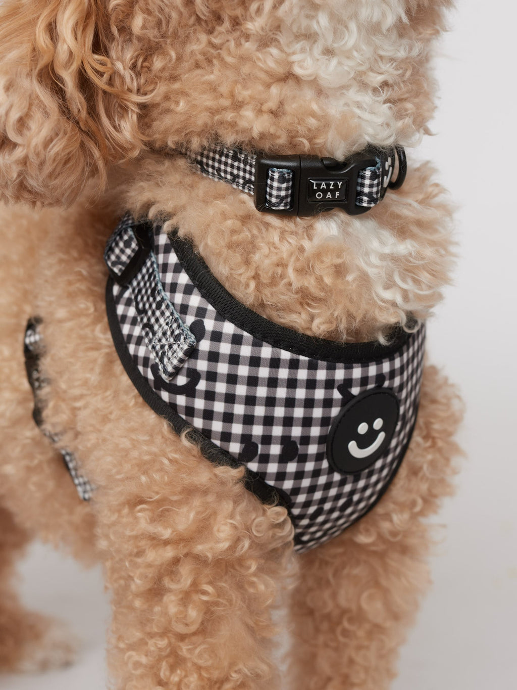 Happy Sad Gingham Dog Collar