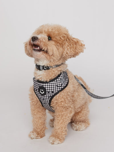 Happy Sad Gingham Dog Harness